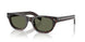17N03R - Tortoise - Green Polarized