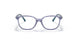 3906 - Violet