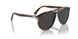 110248 - Tortoise - Polar Black