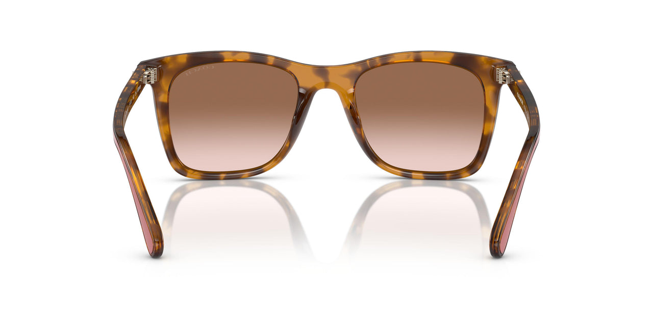 512013 - Tortoise - Brown Pink Gradient