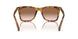 512013 - Tortoise - Brown Pink Gradient