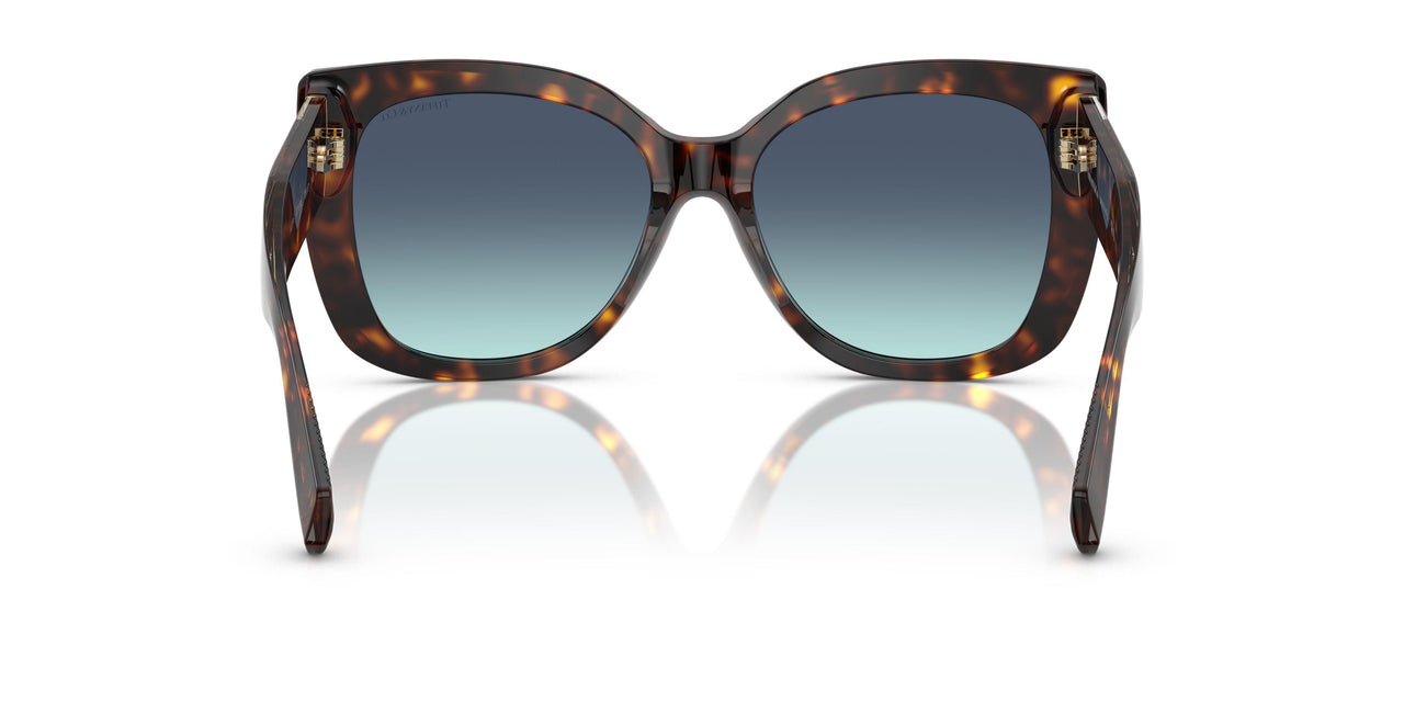 80159S - Tortoise - Azure Gradient Blue