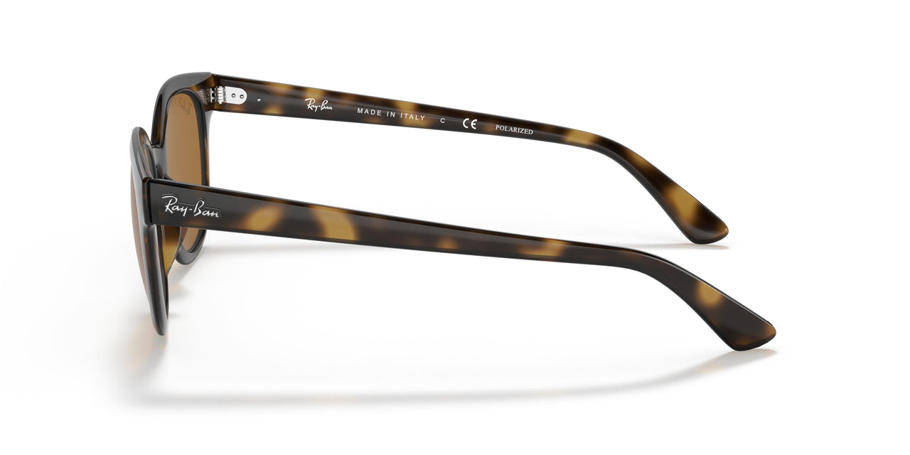 647551 - Yellow Light Havana - Clear Gradient Brown