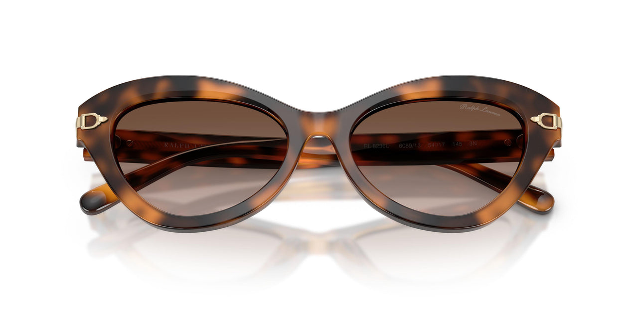 608913 - Tortoise - Gradient Brown