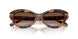 608913 - Tortoise - Gradient Brown