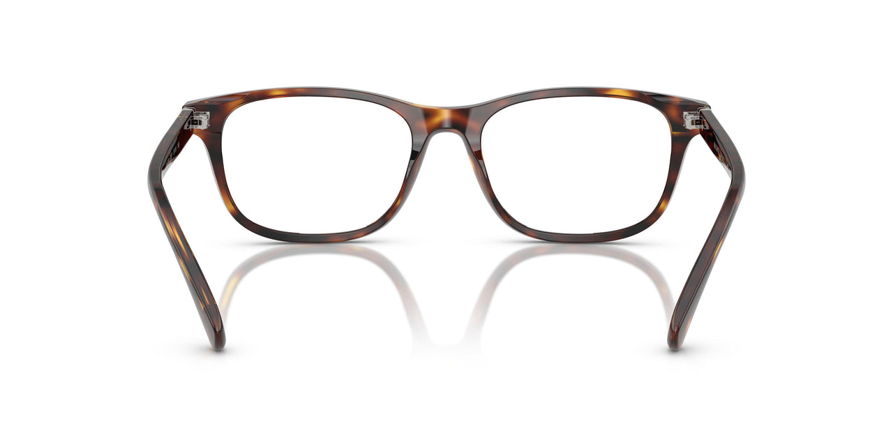 6137 - Tortoise