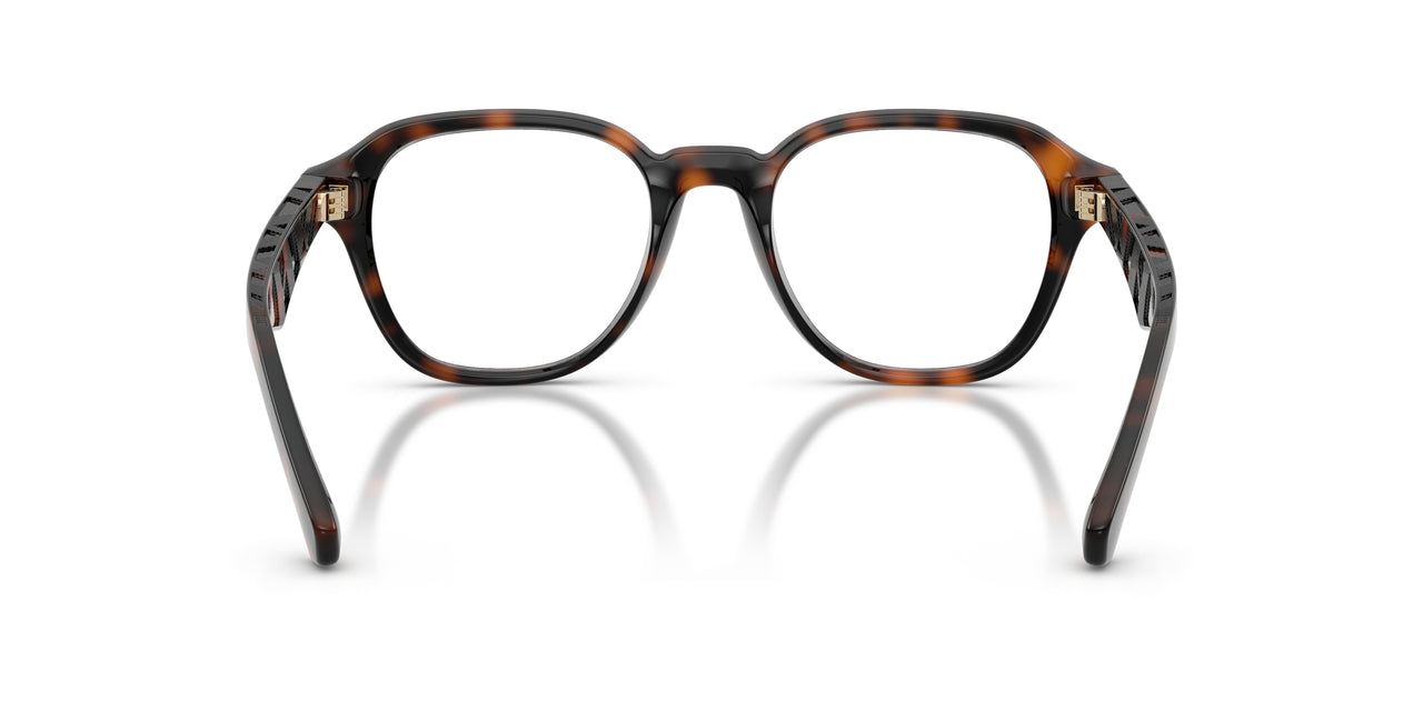 3002 - Brown