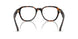 3002 - Brown