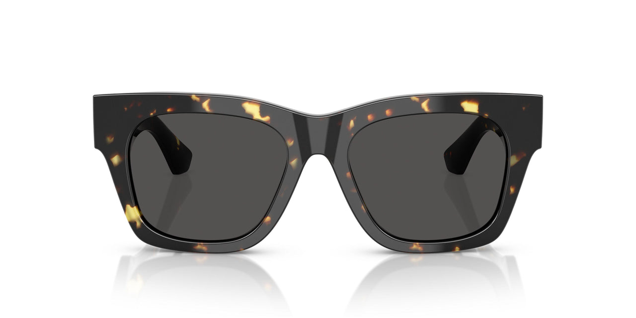 410687 - Tortoise - Dark Grey