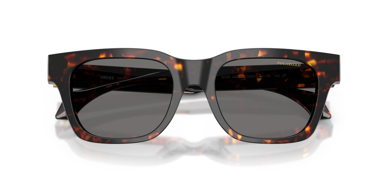550981 - Tortoise - Dark Grey Polar
