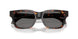 550981 - Tortoise - Dark Grey Polar