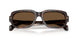 300273 - Tortoise - Brown Solid