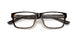 5003 - Tortoise