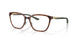 801302 - Tortoise