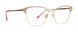 BPP - Botanical Paisley Pink