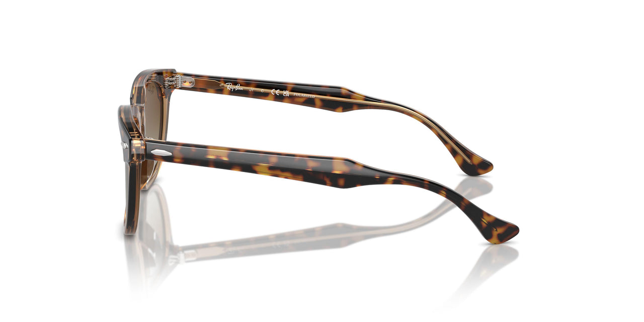 7152T5 - Brown - Brown