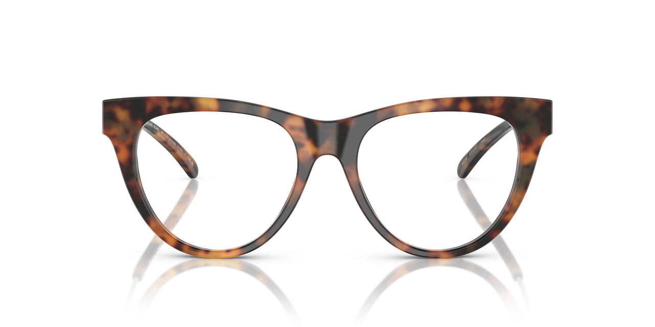 3904 - Tortoise
