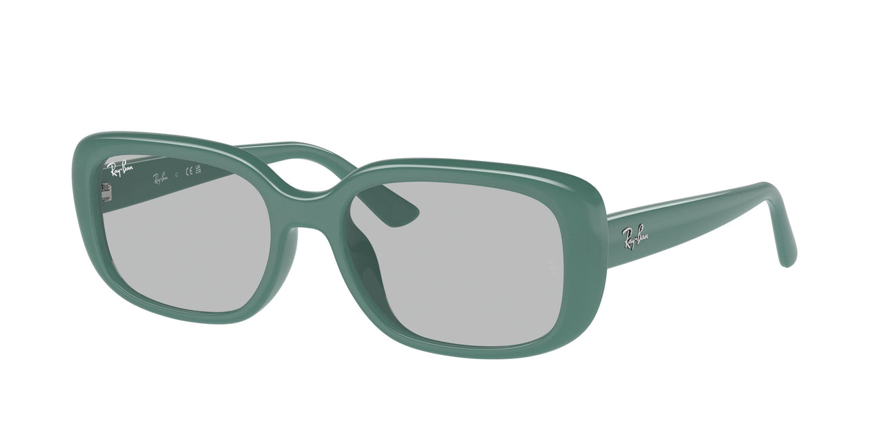 Ray-Ban 4421D Sunglasses