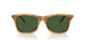 618571 - Tortoise - Bottle Green