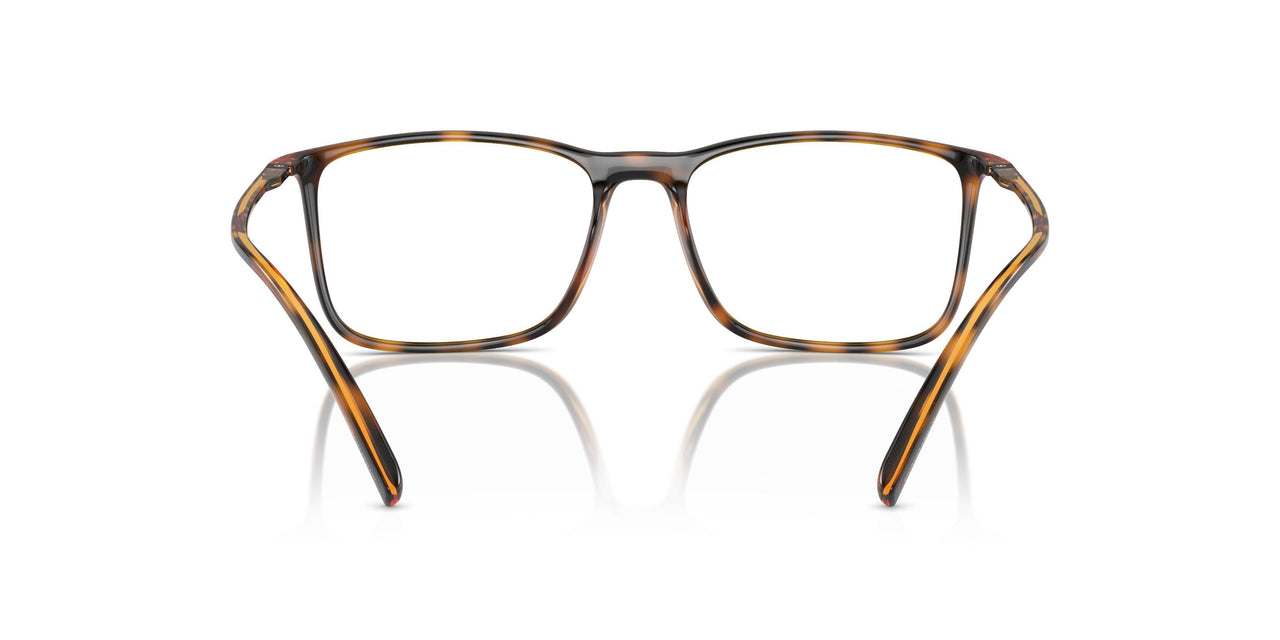 5026 - Tortoise