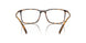 5026 - Tortoise