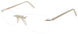 Andy Wolf FENN Eyeglasses