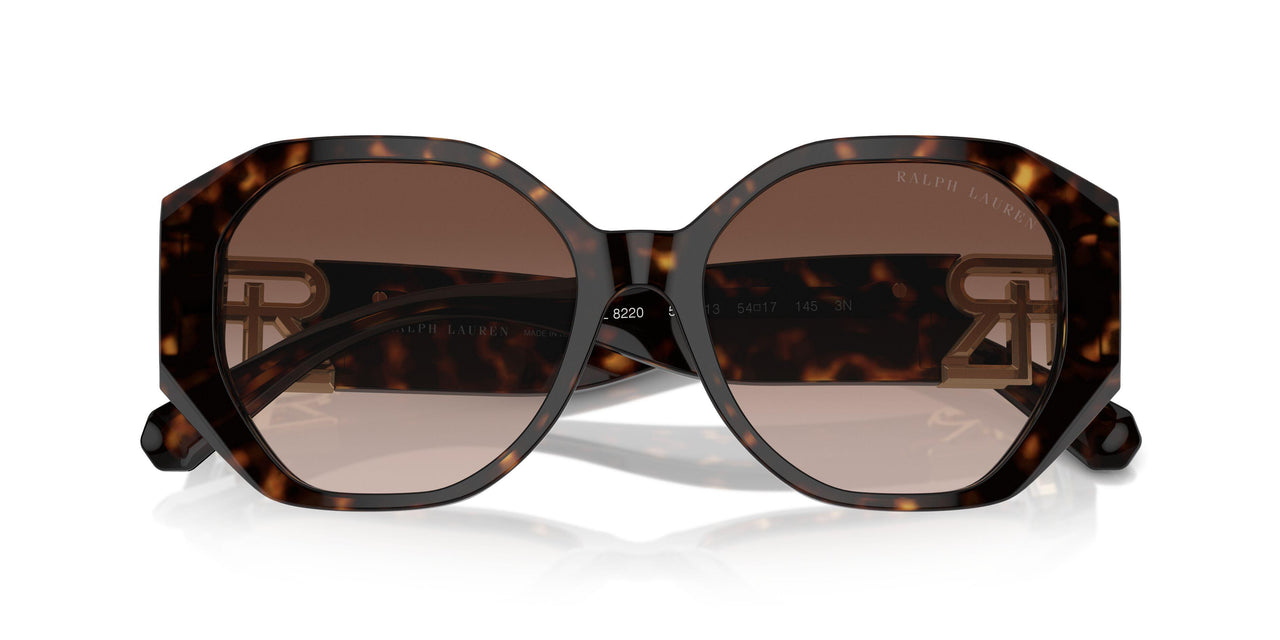 500313 - Brown - Brown Gradient