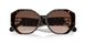 500313 - Brown - Brown Gradient