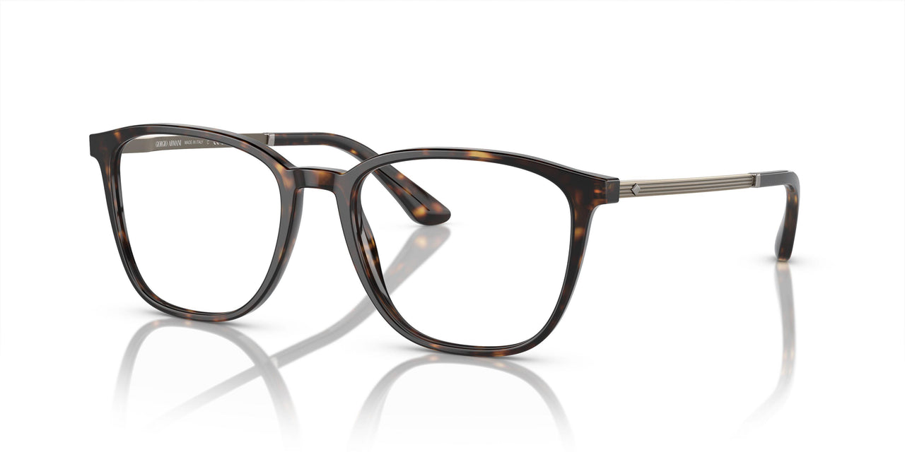 5026 - Tortoise