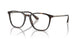 5026 - Tortoise