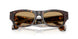 502673 - Tortoise - Brown