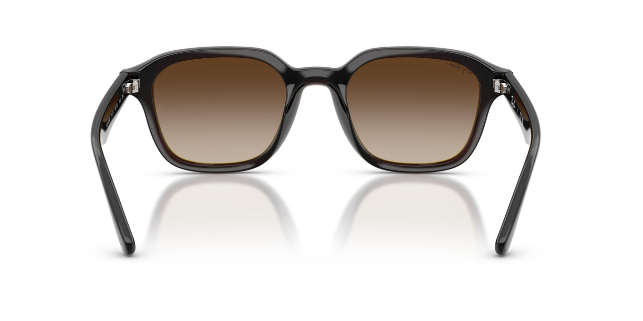 714/13 - Brown - Gradient Brown