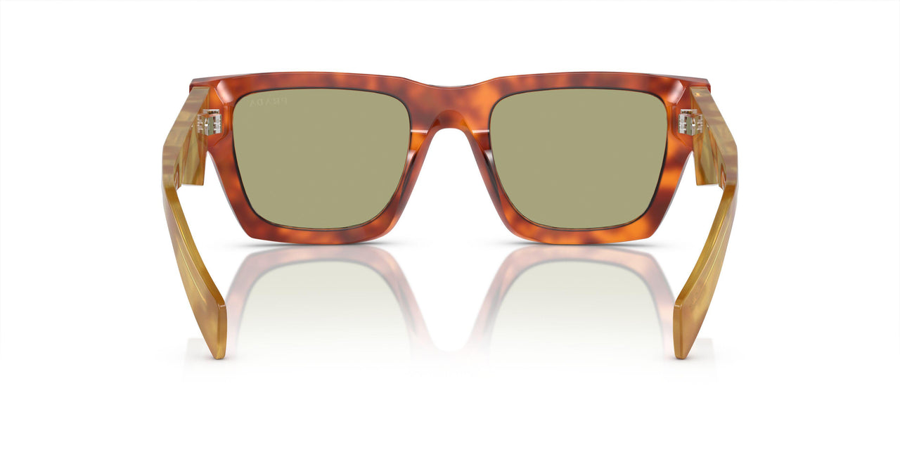 11P60C - Brown - Green