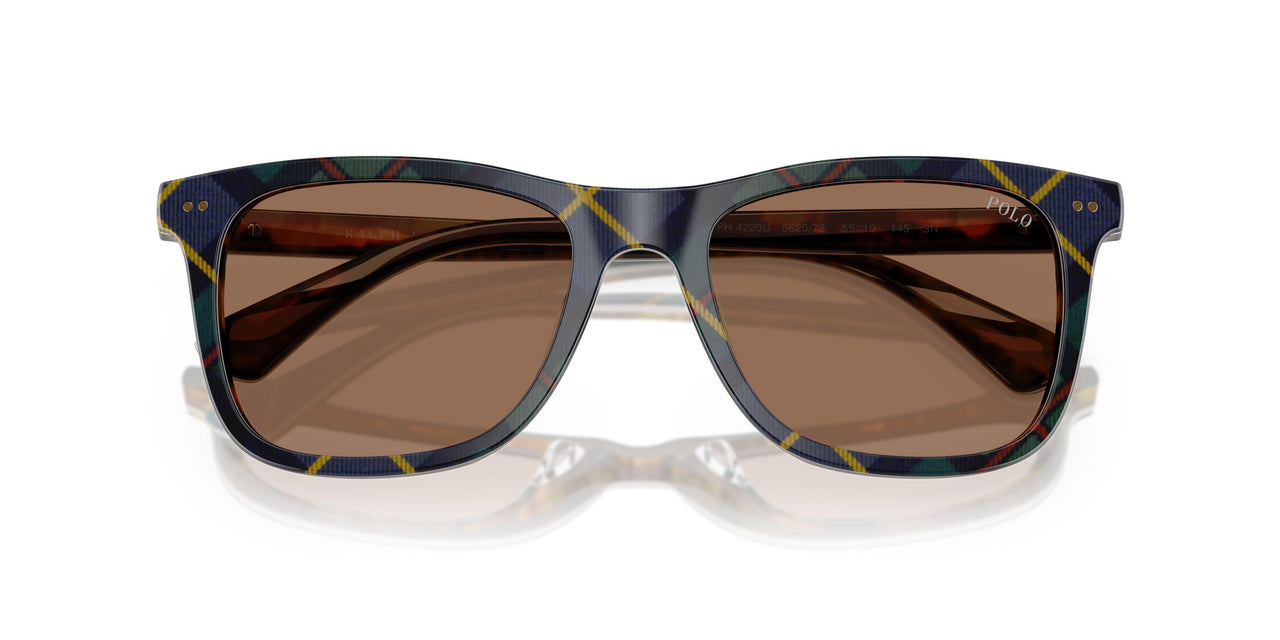 562573 - Multicolor - Dark Brown