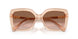 106313 - Brown - Gradient Brown
