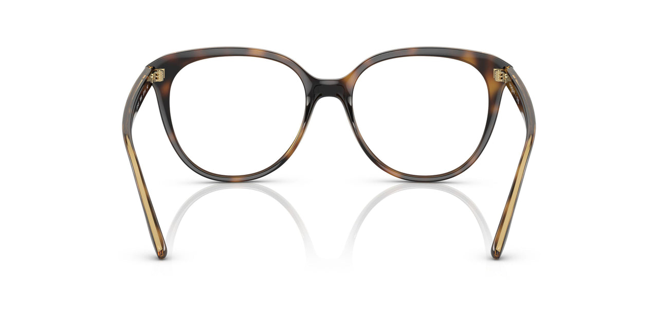 W656 - Brown