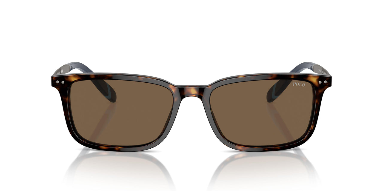 500373 - Brown - Brown