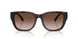 202213 - Tortoise - Brown Gradient