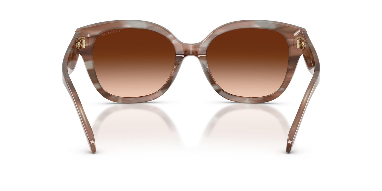 590174 - Brown - Brown Gradient