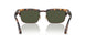 110231 - Tortoise - Green