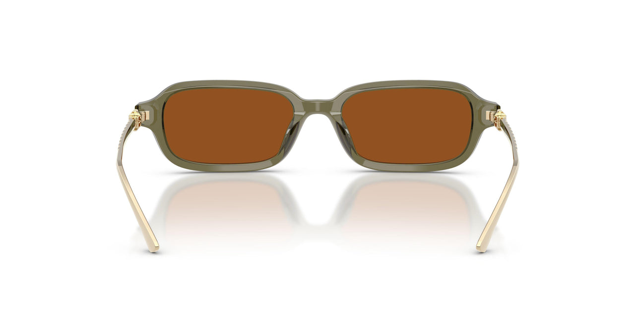 208573 - Green - Solid Brown