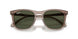 845731 - Brown - Green