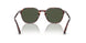 24/31 - Havana - Green