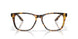201302 - Tortoise