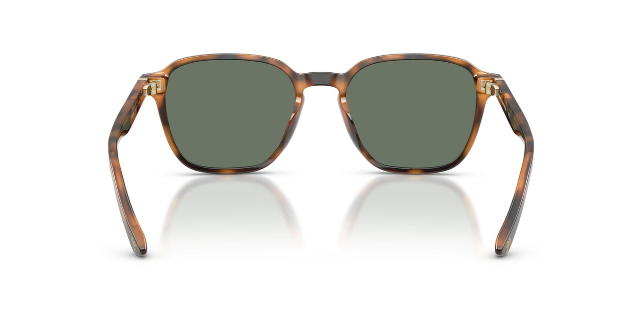 61613H - Tortoise - Green