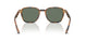 61613H - Tortoise - Green