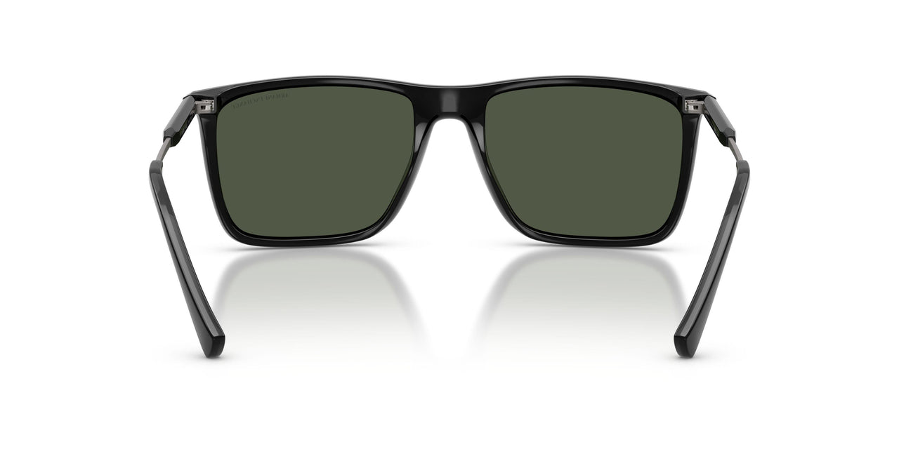 81582J - Black - Dark Green Polar