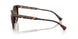 500313 - Tortoise - Brown Gradient