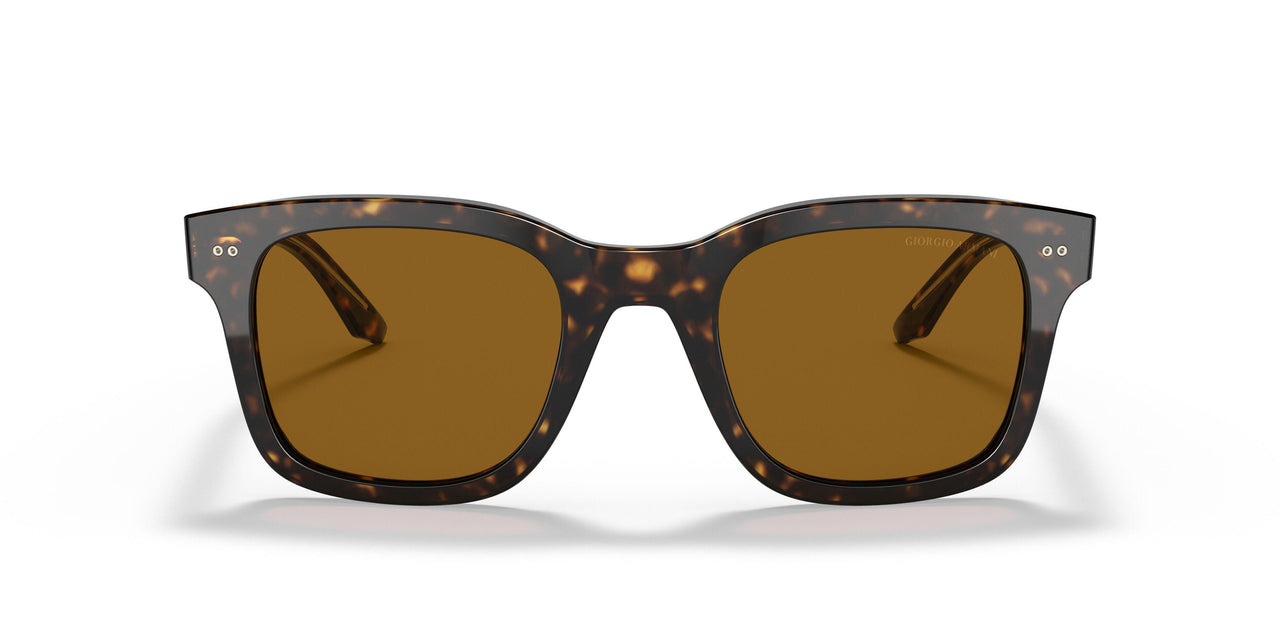 502633 - Havana - Brown