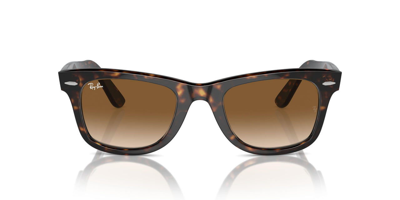902/51 - Havana - Crystal Brown Gradient